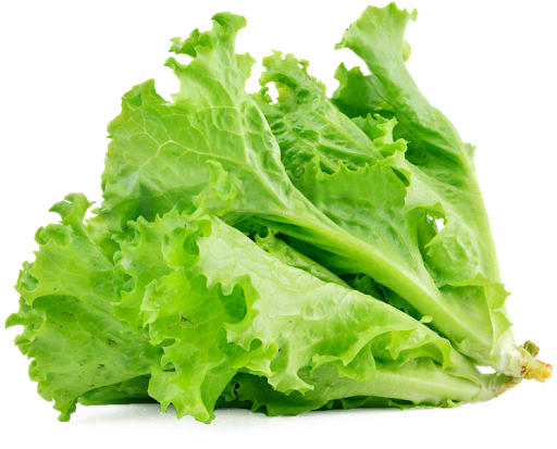 Celtuce Green PNG Image High Quality Transparent PNG Image