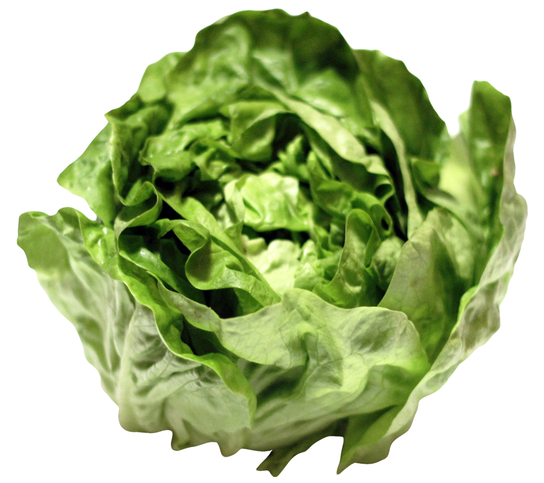 Photos Celtuce Green Free Photo Transparent PNG Image