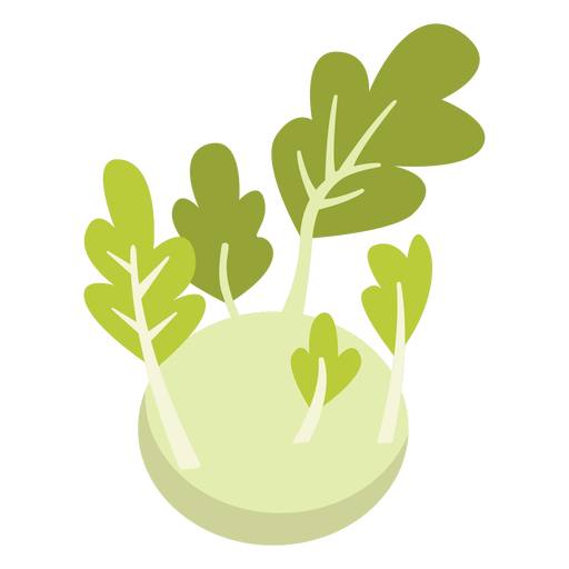 Kohlrabi Free Download Image Transparent PNG Image