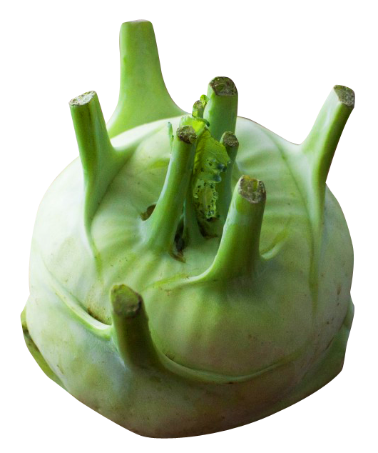 Kohlrabi Free PNG HQ Transparent PNG Image