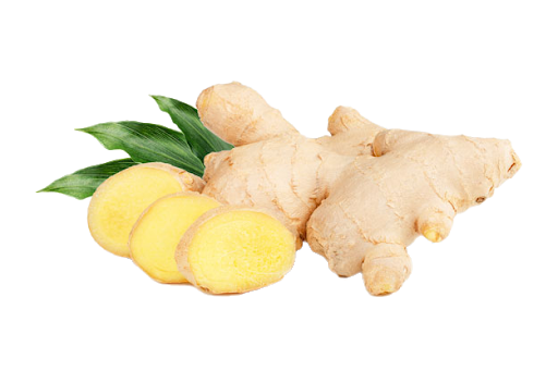 Fresh Galangal HQ Image Free Transparent PNG Image