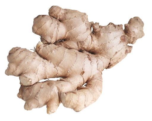 Fresh Galangal Download HD Transparent PNG Image