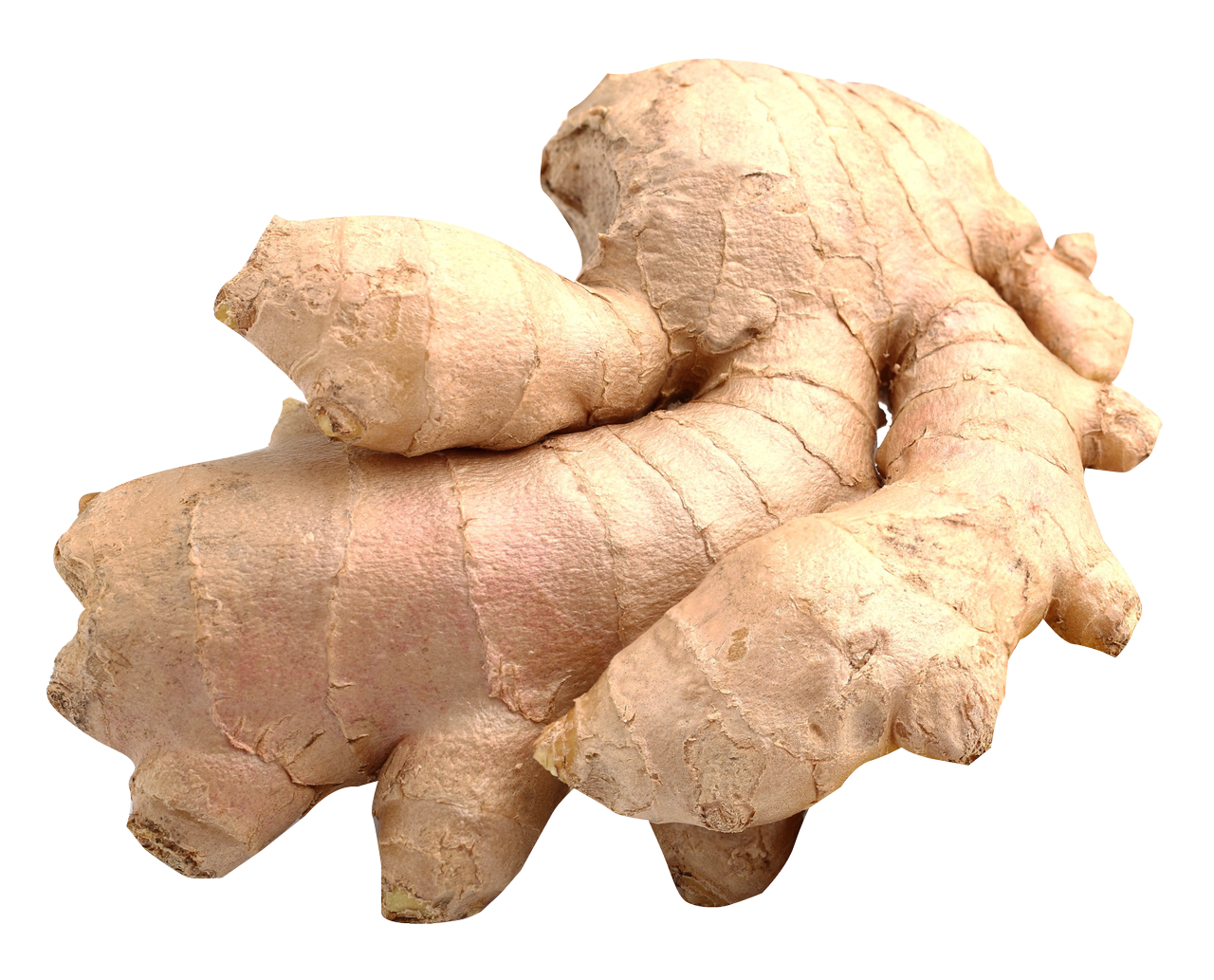 Fresh Galangal Download HQ Transparent PNG Image