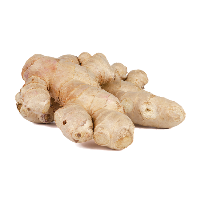 Fresh Galangal Free Download PNG HD Transparent PNG Image