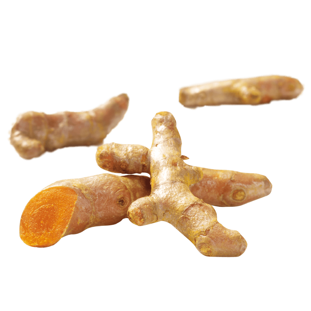 Galangal Free Photo Transparent PNG Image