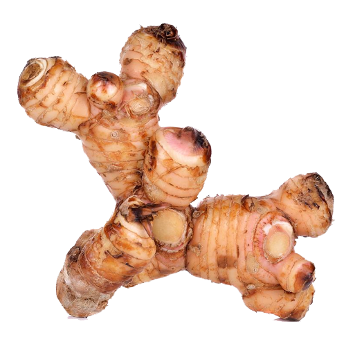 Galangal Free Download Image Transparent PNG Image