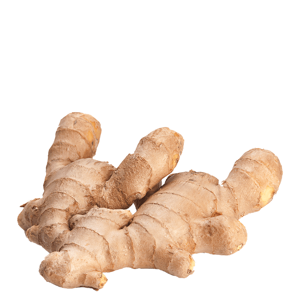 Galangal Free Clipart HD Transparent PNG Image