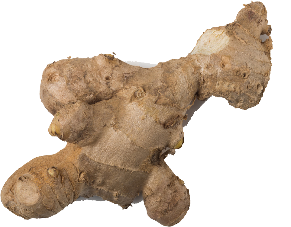 Pic Organic Galangal HQ Image Free Transparent PNG Image