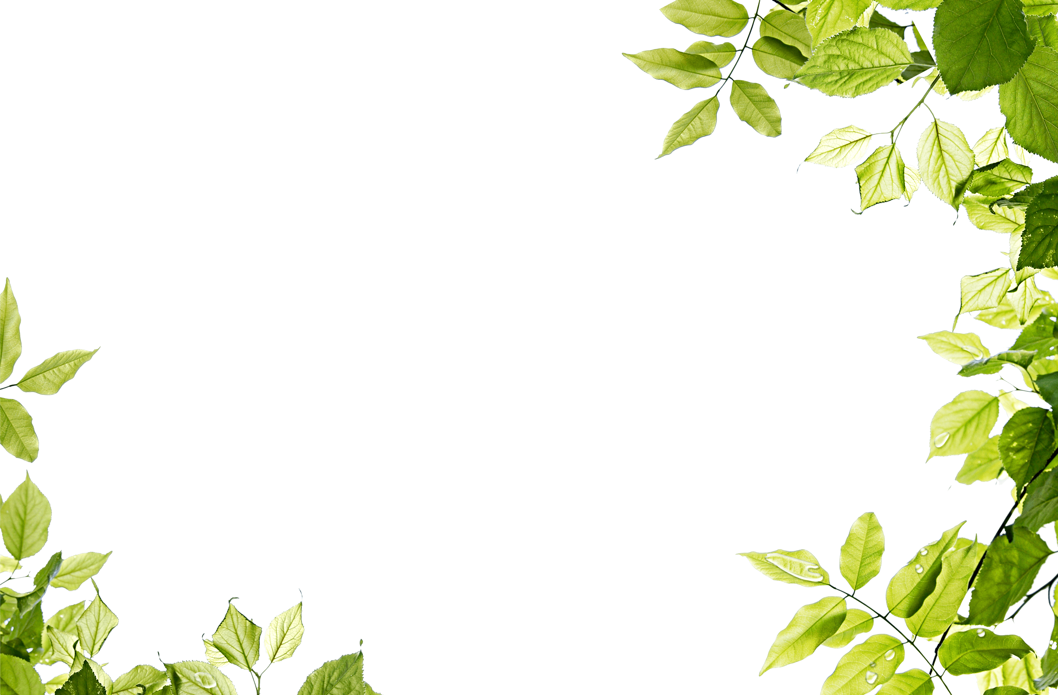 Green Leaves Frame Png Transparent PNG Image