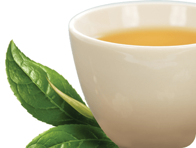 Green Tea Png Clipart Transparent PNG Image