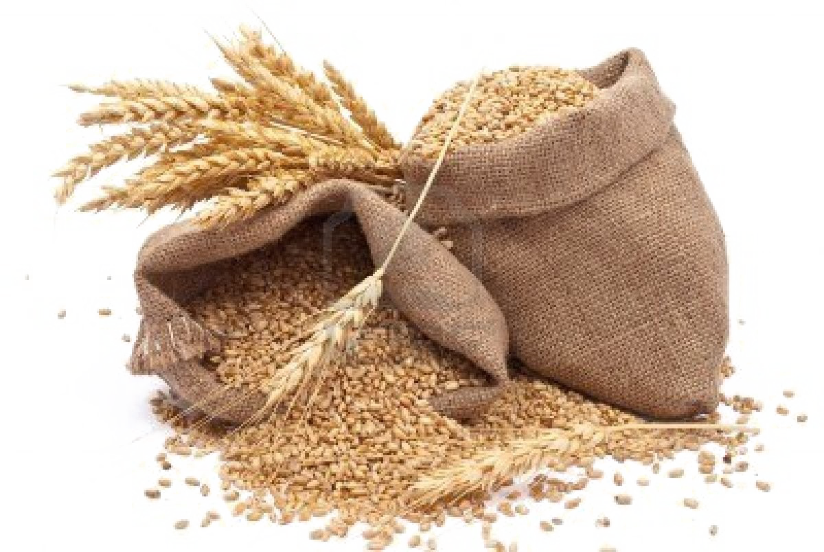 Grain Photos Free Download PNG HQ Transparent PNG Image