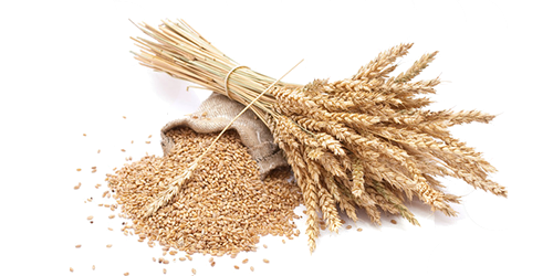 Grain Picture PNG Image High Quality Transparent PNG Image