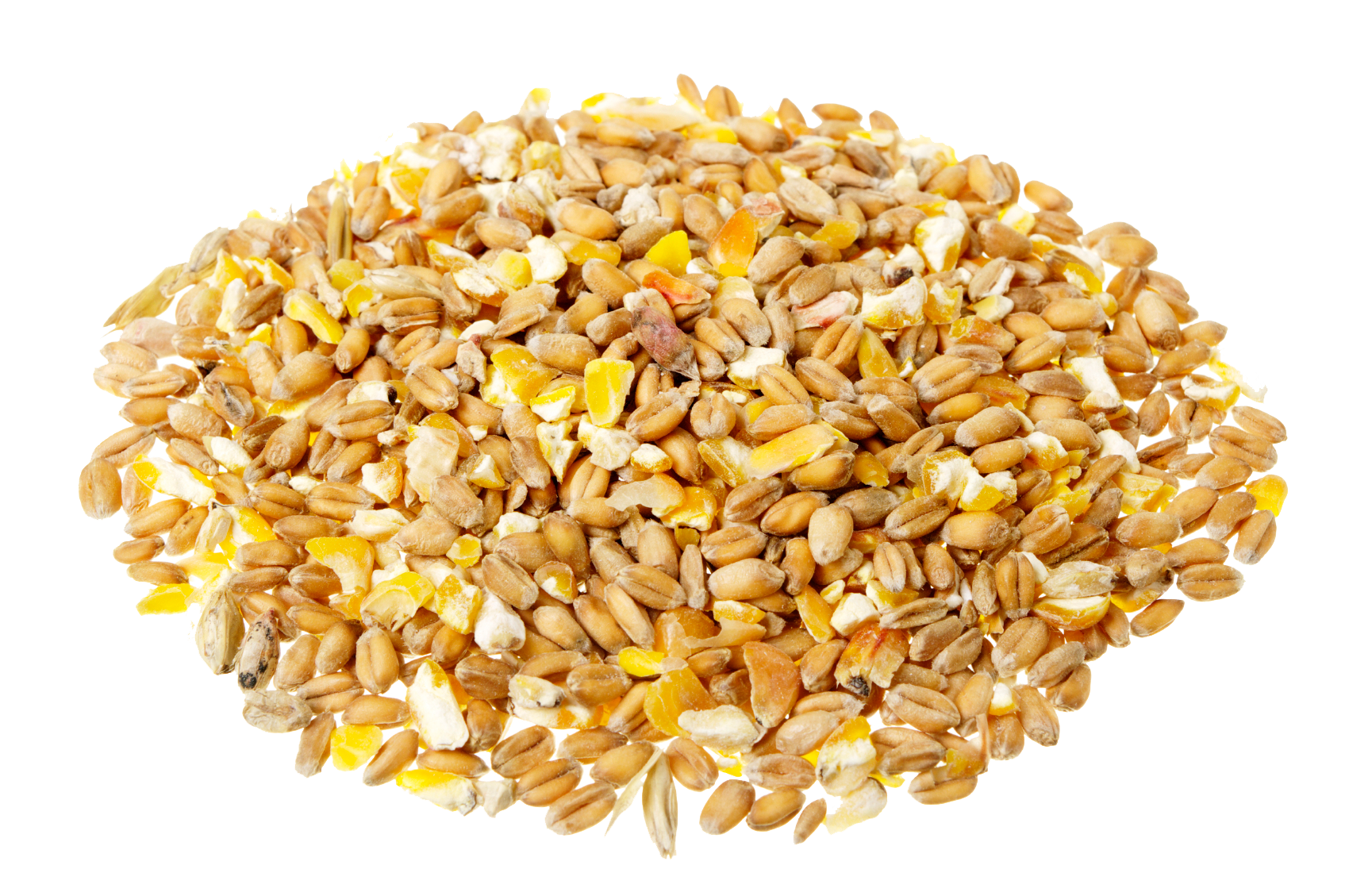 Grain Free Clipart HD Transparent PNG Image