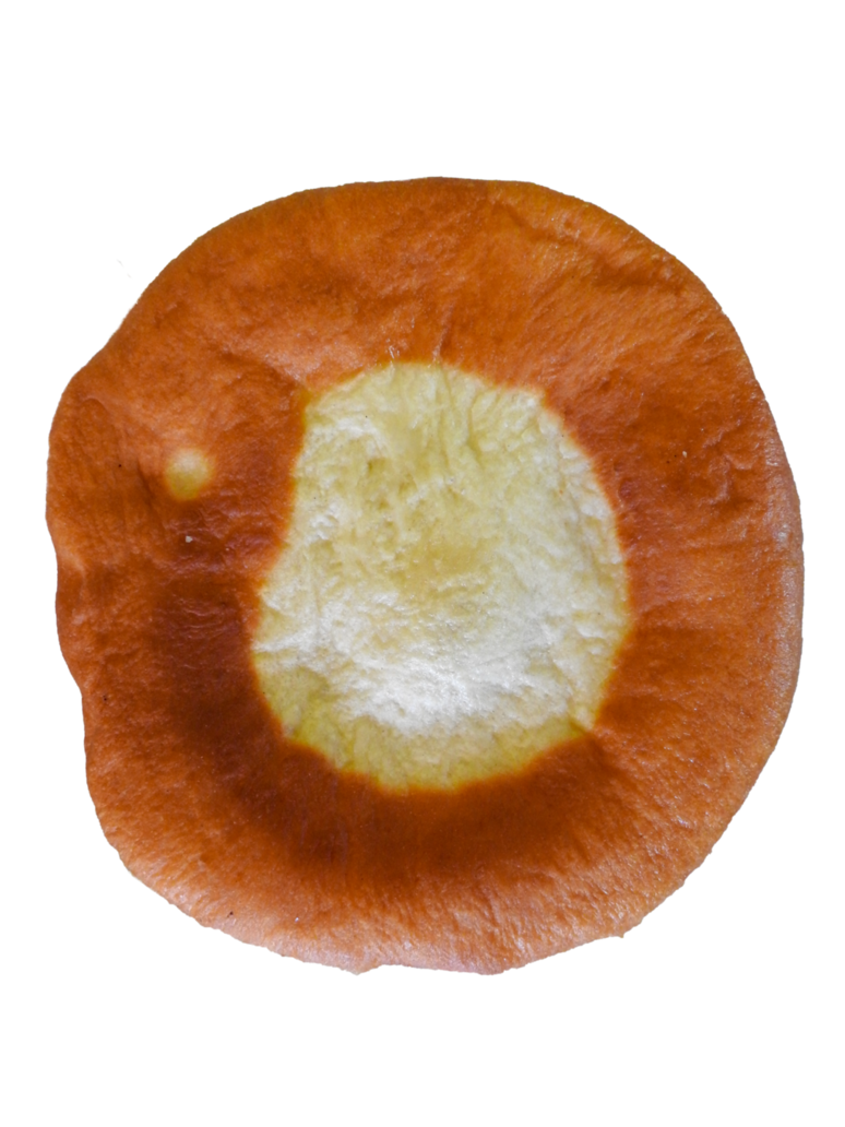 Donut PNG Free Photo Transparent PNG Image