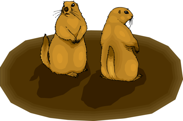 Groundhog Day California Sea Lion Seal Cartoon For Eve Party 2020 Transparent PNG Image