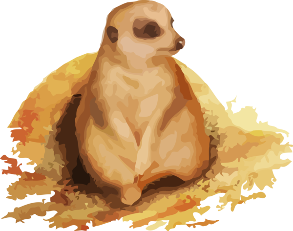 Groundhog Day Meerkat Mongoose Fawn For Ball Drop Transparent PNG Image