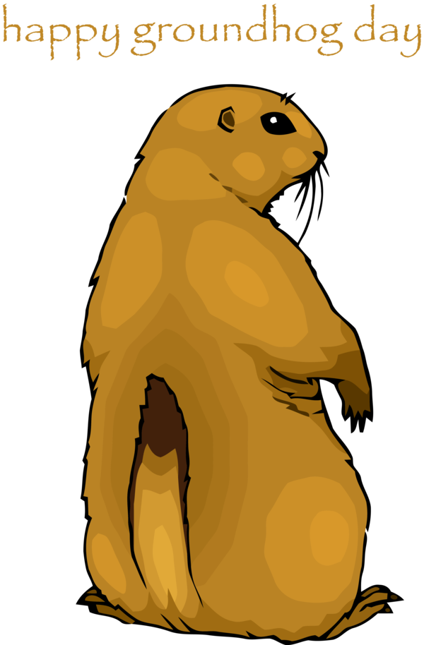 Groundhog Day Gopher Marmot For Party 2020 Transparent PNG Image