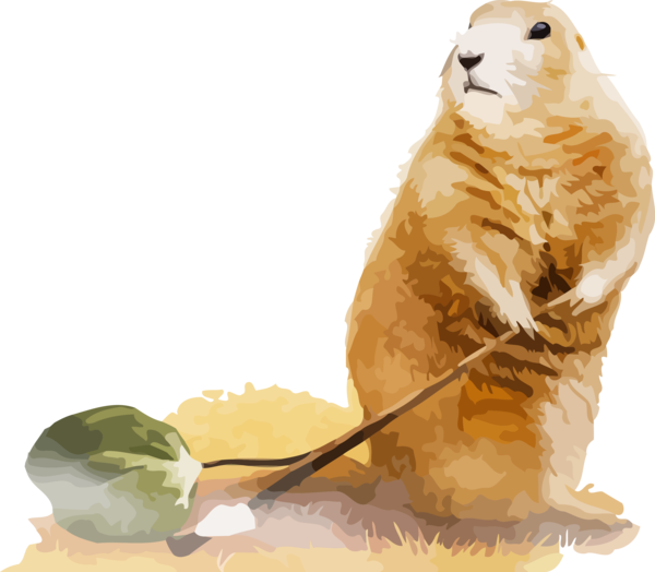 Groundhog Day Animal Figure Seal Earless For Eve Party Transparent PNG Image