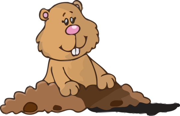 Groundhog Day Cartoon Brown Bear Grizzly For Greeting Cards Transparent PNG Image