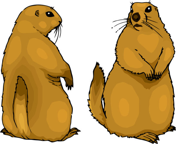 Groundhog Day Fur Seal Gopher For Carol Transparent PNG Image