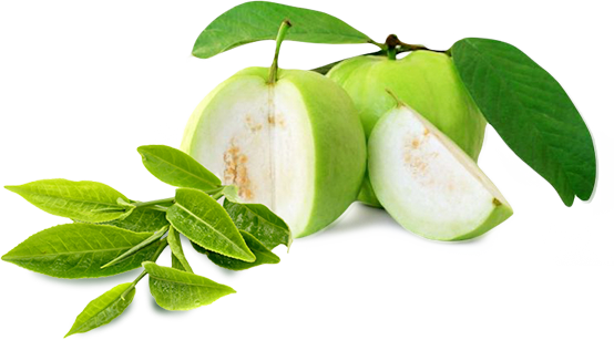 Guava Download Png Transparent PNG Image