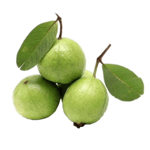 Guava Green Free Download PNG HD Transparent PNG Image