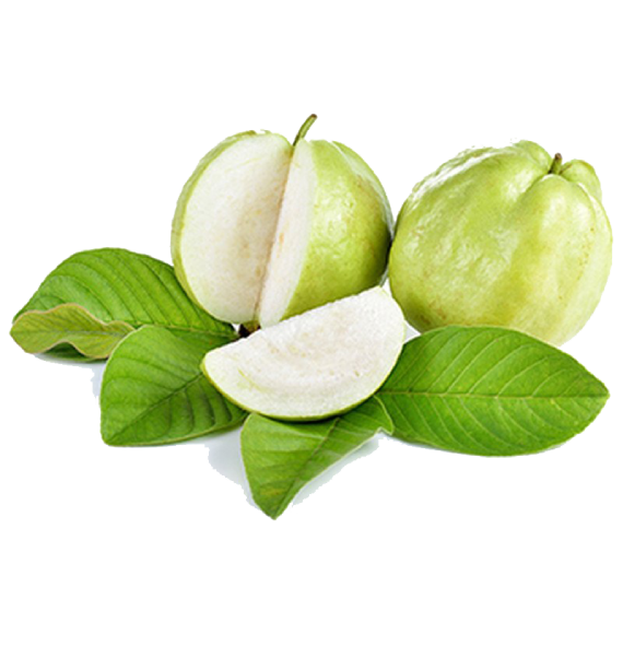 Photos Guava Free Clipart HD Transparent PNG Image