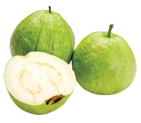 Guava Png Picture Transparent PNG Image