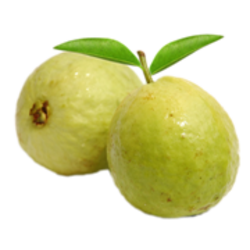 Guava Png Hd Transparent PNG Image