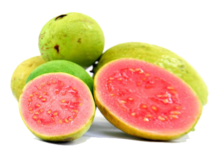 Guava Png Image Transparent PNG Image