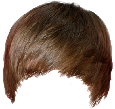 Hair Free Download Transparent PNG Image