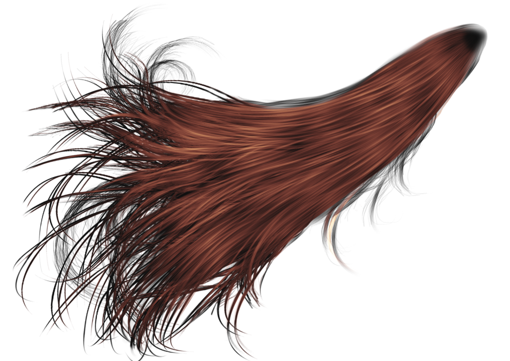 Hair Image Transparent PNG Image