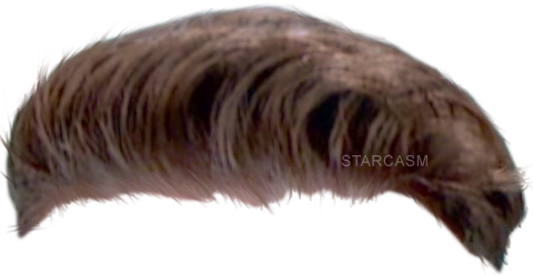 Haircut Photo Transparent PNG Image