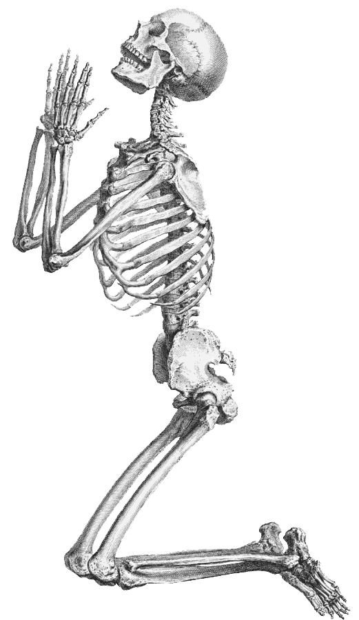 Halloween Skeleton Transparent Background Transparent PNG Image