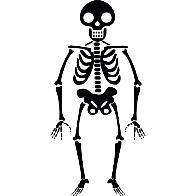 Halloween Skeleton Transparent Transparent PNG Image