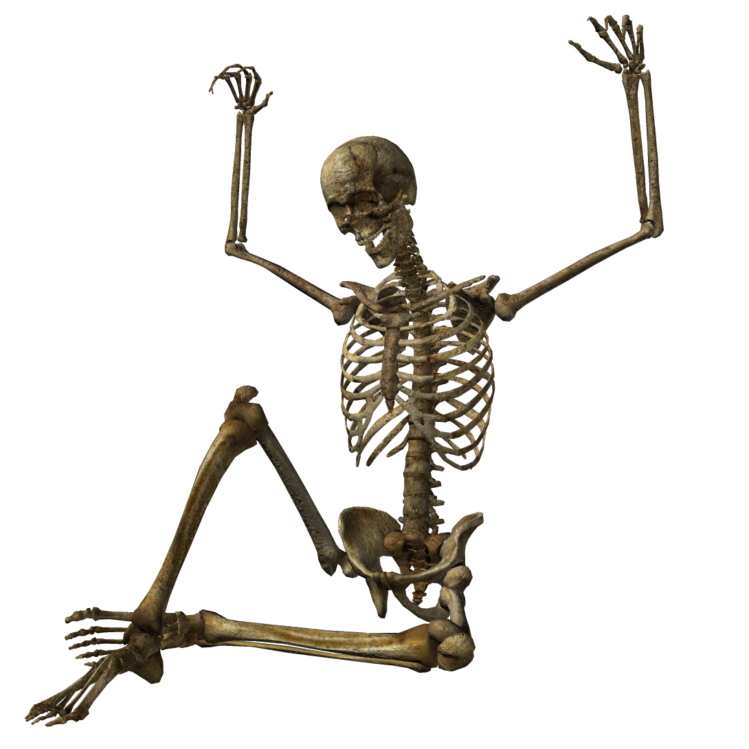 Halloween Skeleton Transparent PNG Image