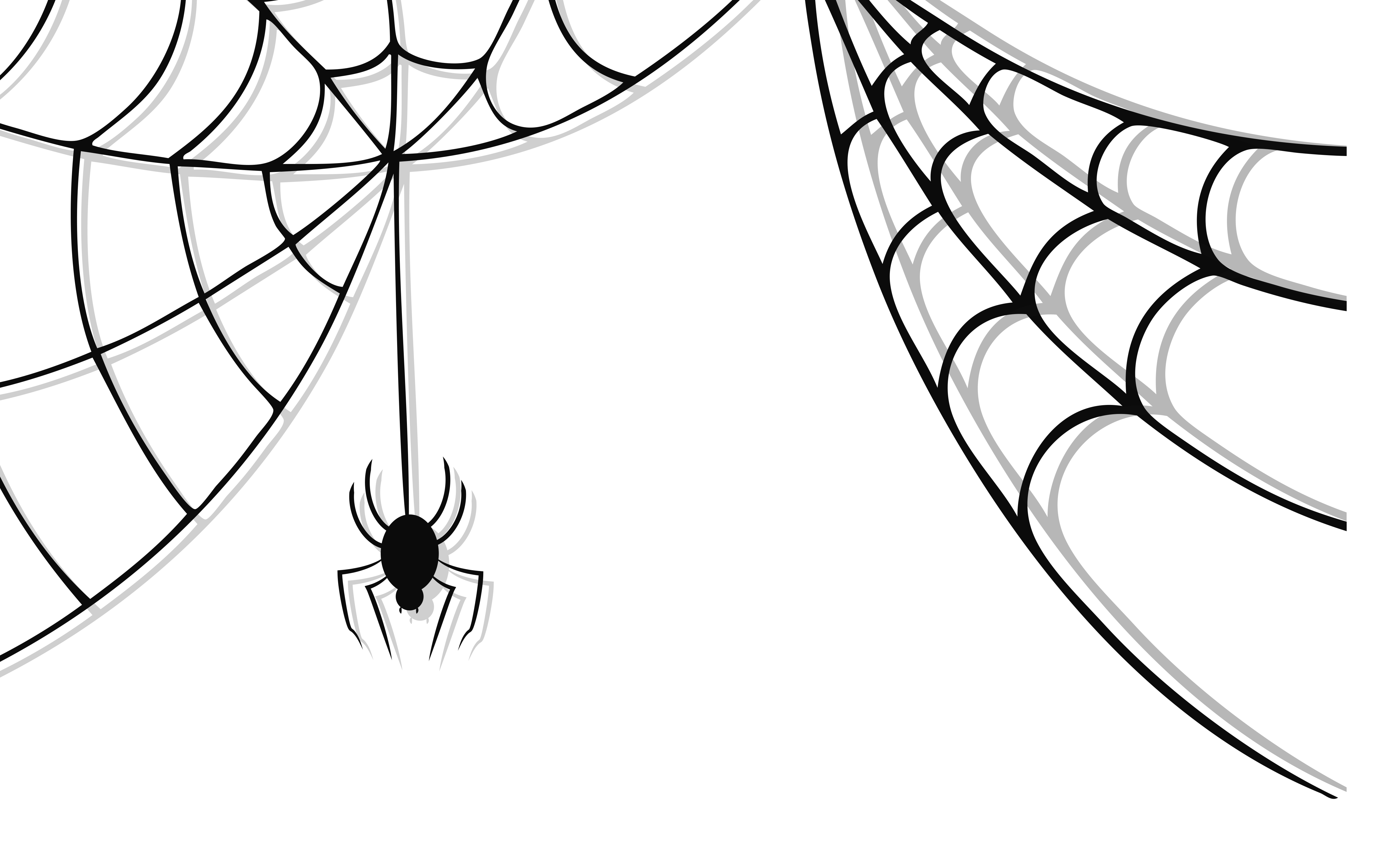 Halloween Spider Picture Transparent PNG Image