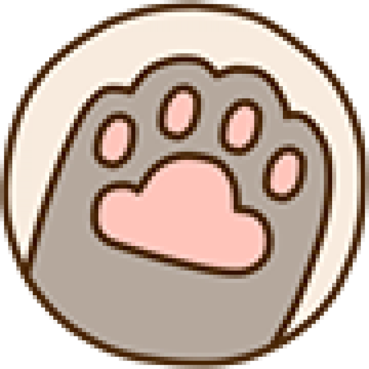 Face Pusheen Nose Cat Free Download PNG HD Transparent PNG Image