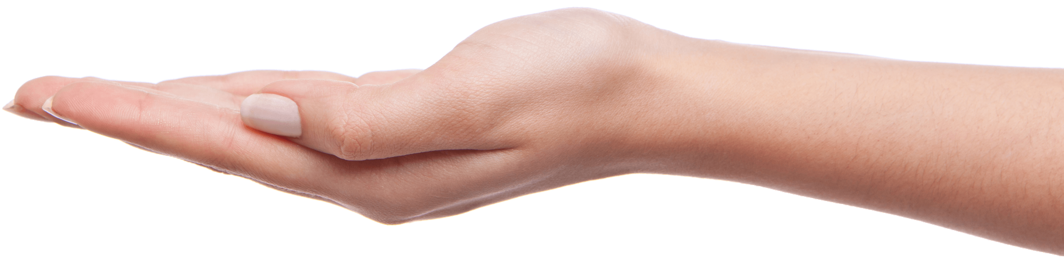 Palm Hands Png Hand Image  Transparent PNG Image