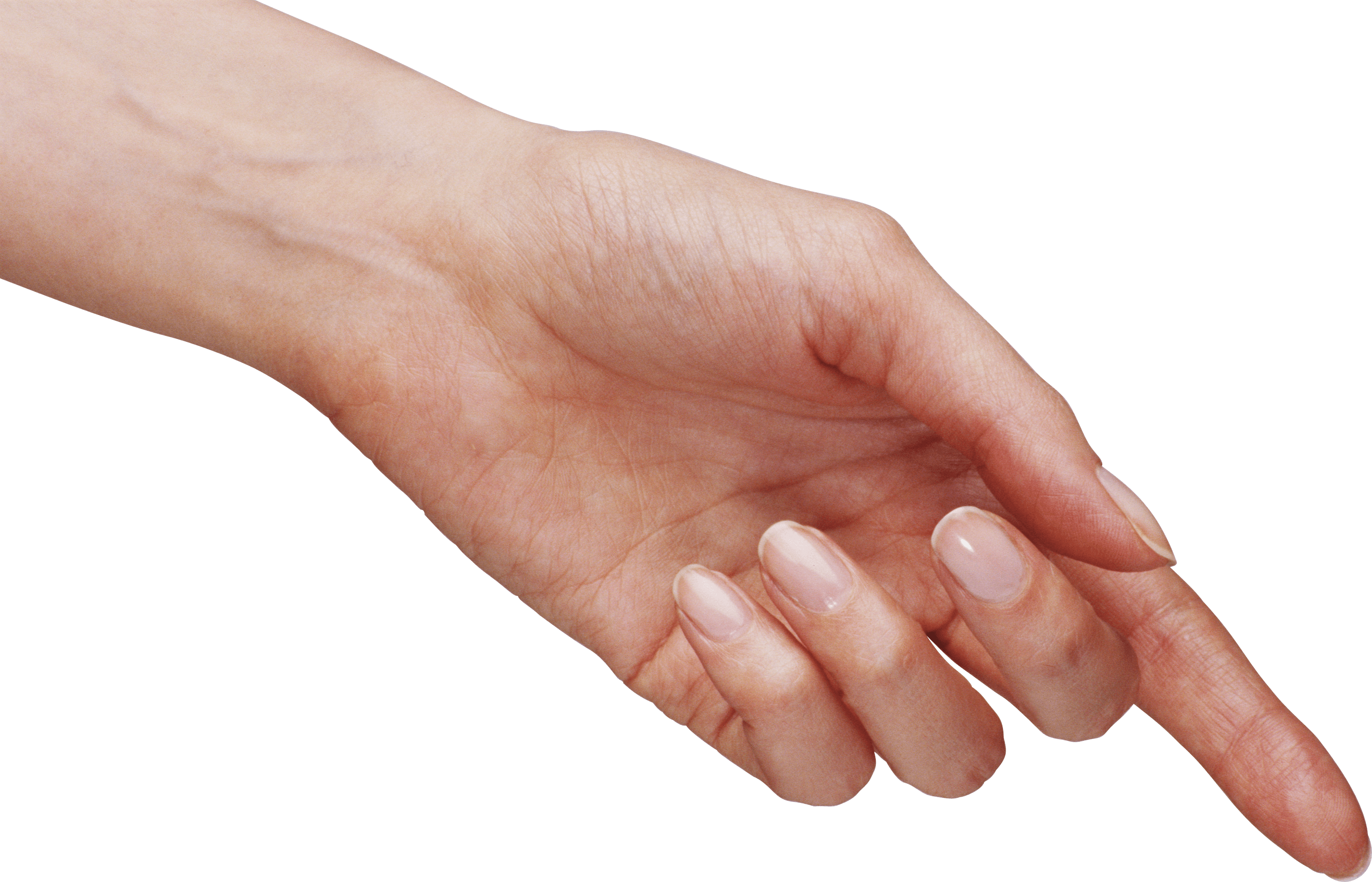 Hands Png Hand Image  Transparent PNG Image