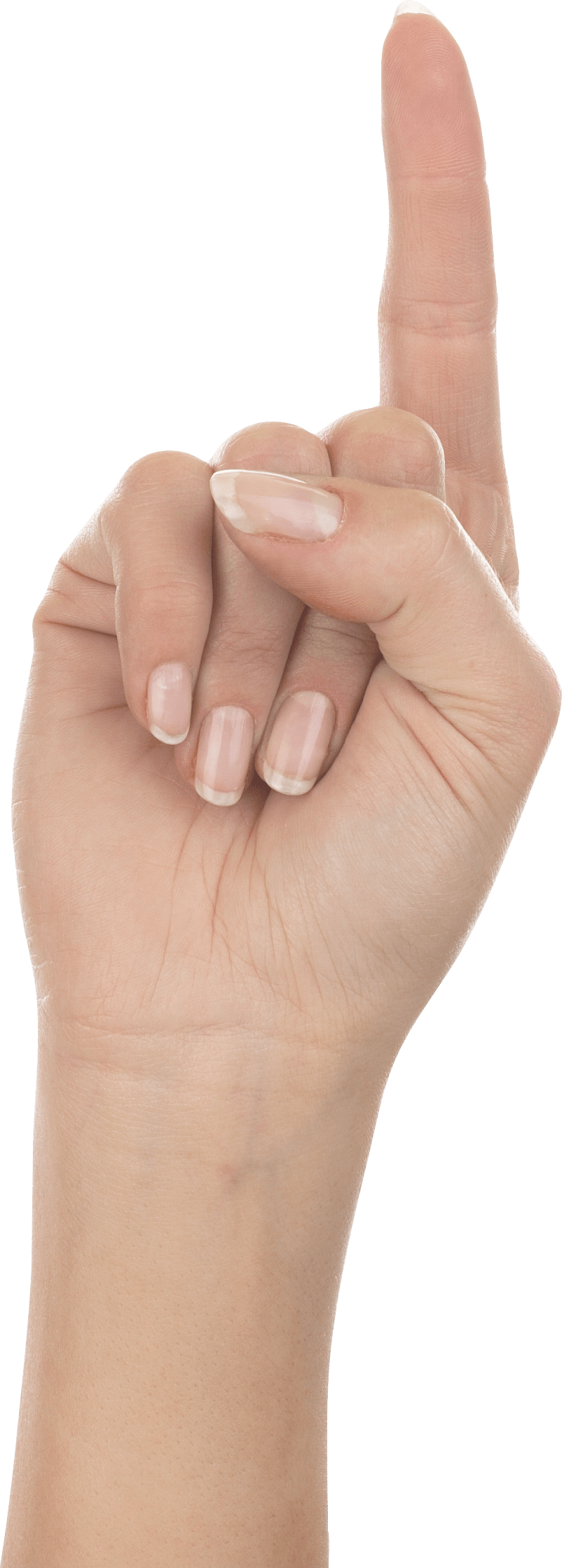 Hands Png Hand Image  Transparent PNG Image