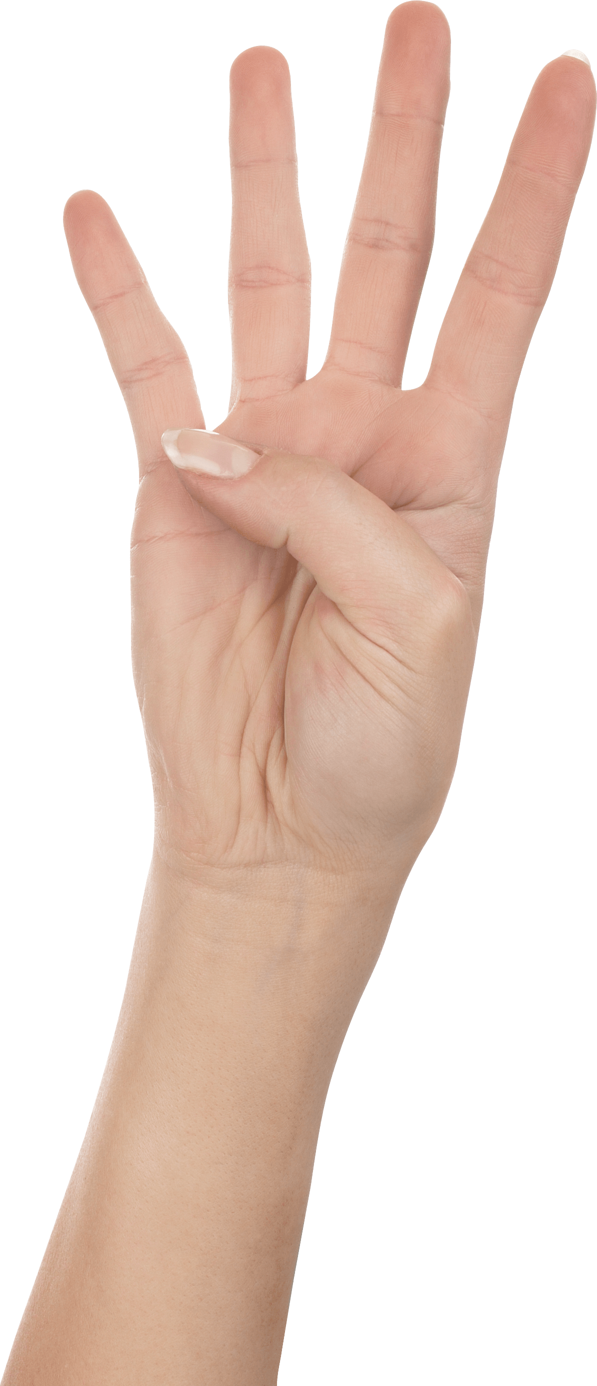 Four Finger Hand Hands Png Hand Image  Transparent PNG Image