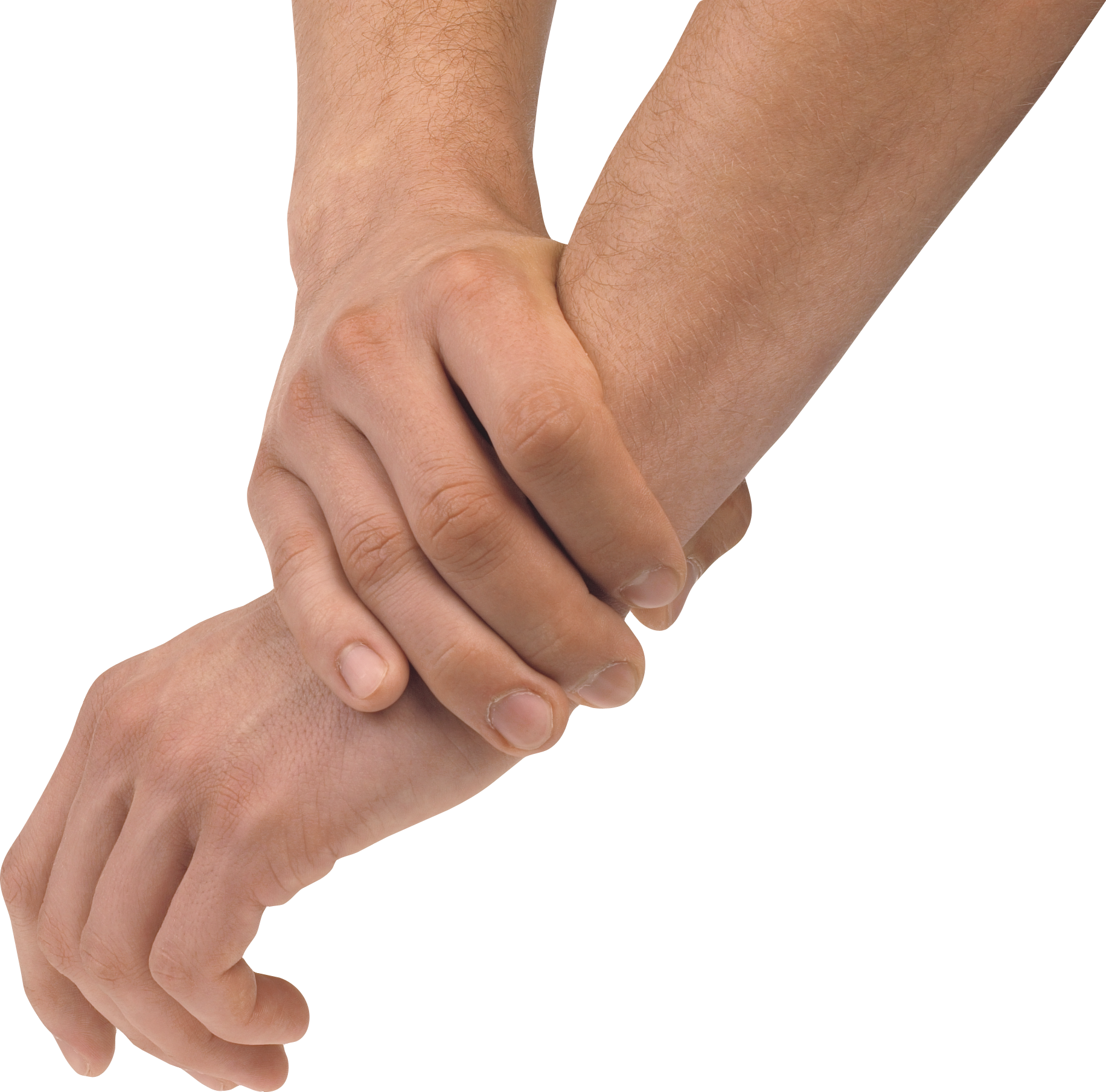 Holding Female Hands Download Free Image Transparent PNG Image