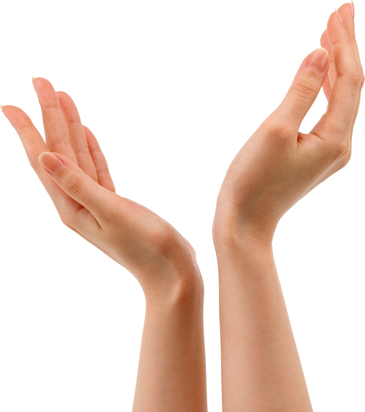 Hands Png 8 Transparent PNG Image