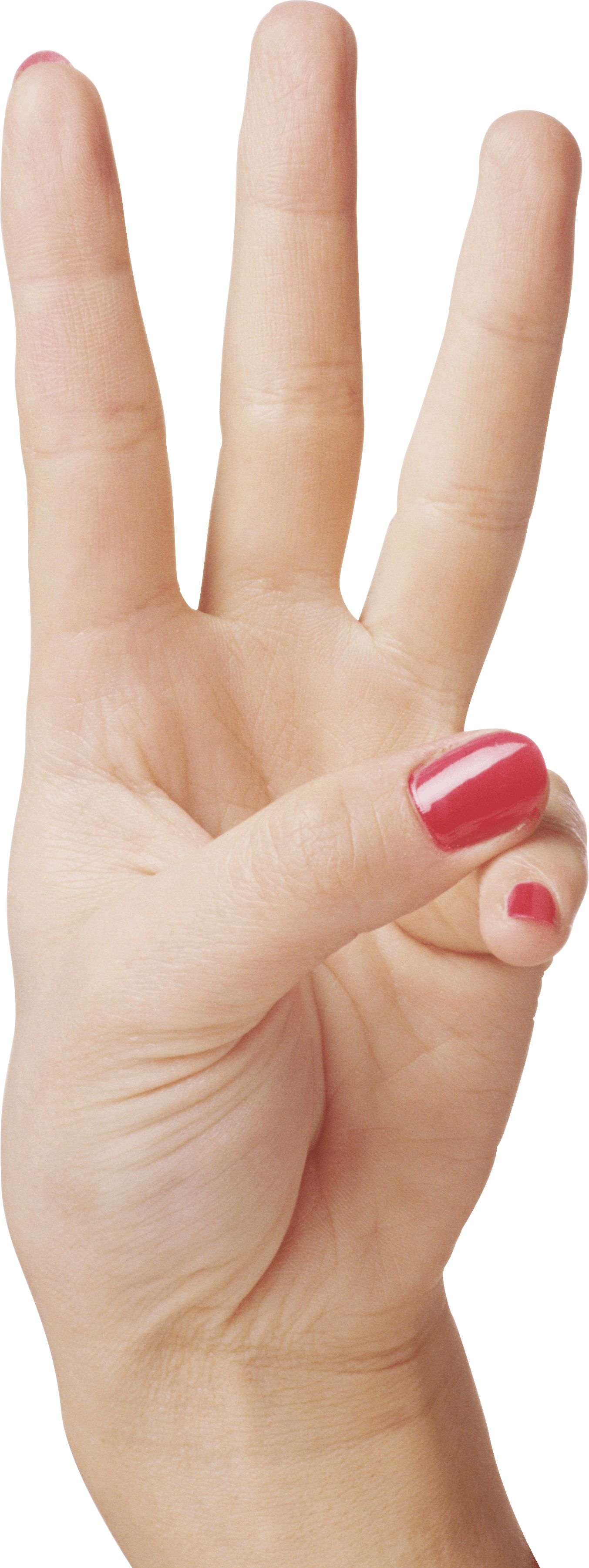 Hands Png Hand Image  Transparent PNG Image