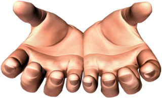 Hands Png 9 Transparent PNG Image