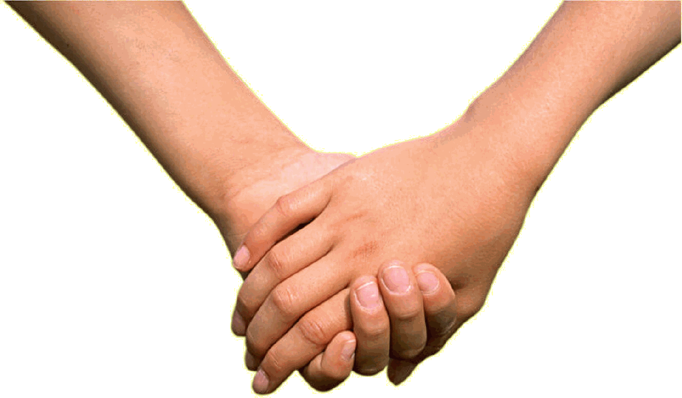 Hands Png Hand Image  Transparent PNG Image