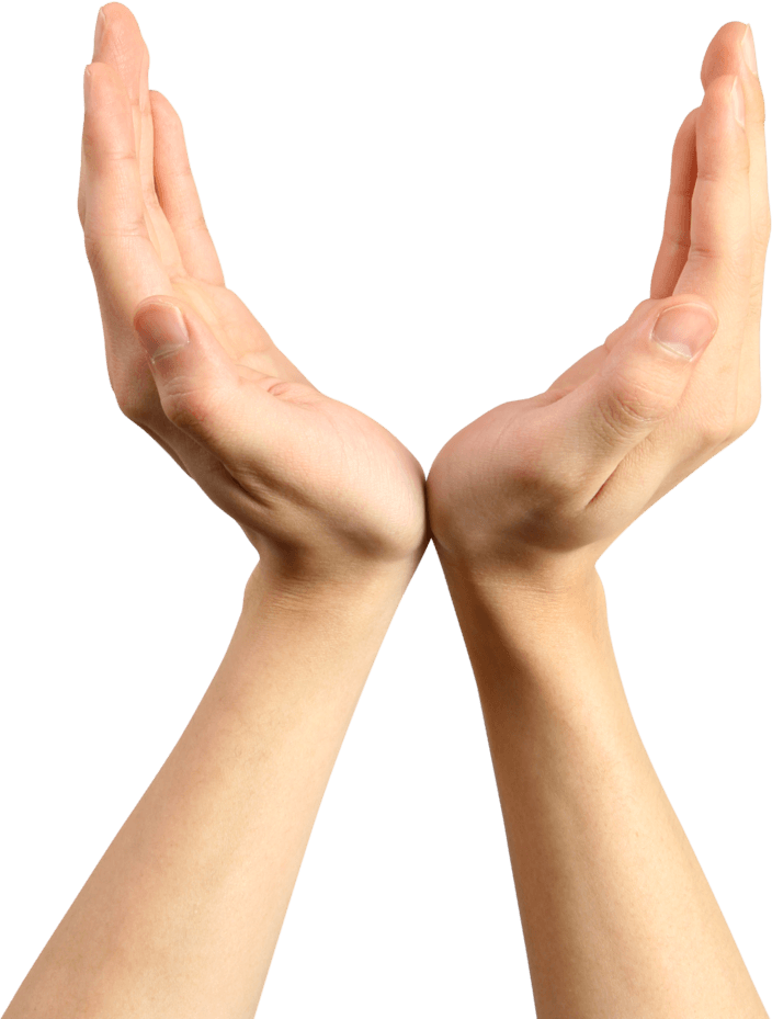 Hands Png Hand Image  Transparent PNG Image