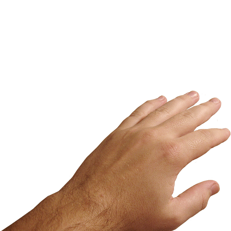 Hands Png Hand Image  Transparent PNG Image