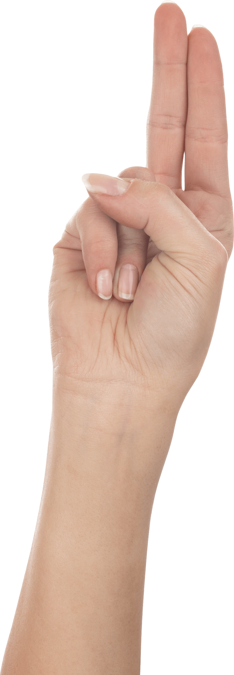 Hands Png Hand Image  Transparent PNG Image